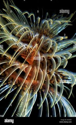  Tubeworm: En fascinerande varelse med fjädrande gälar som dansar i strömmen!